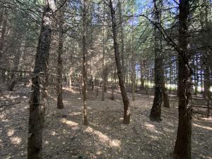 Prodej lesa, Lánov - Horní Lánov, 15278 m2