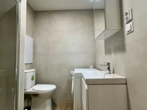 Pronájem bytu 1+1, Ostrava - Svinov, Evžena Rošického, 42 m2