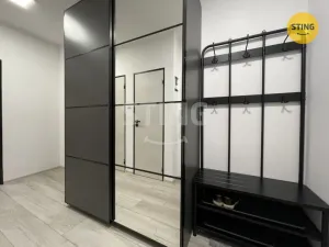 Pronájem bytu 1+1, Ostrava, Živičná, 38 m2