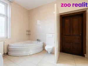 Prodej rodinného domu, Ústí nad Labem, Brožíkova, 355 m2