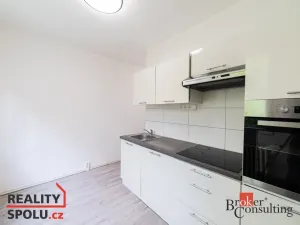 Pronájem bytu 1+1, Chomutov, Holešická, 42 m2