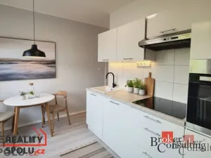 Pronájem bytu 1+1, Chomutov, Holešická, 42 m2