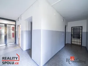 Pronájem bytu 1+1, Chomutov, Holešická, 42 m2