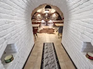 Pronájem restaurace, Pasohlávky, 75 m2