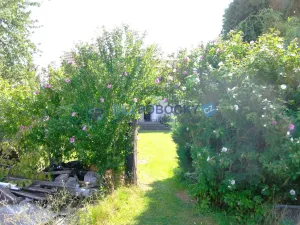 Pronájem bytu 3+1, Golčův Jeníkov - Stupárovice, 110 m2