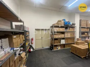 Pronájem skladu, Ostrava, Kounicova, 75 m2