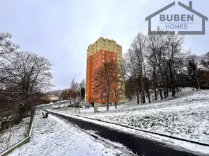 Prodej bytu 2+1, Tachov, Bělojarská, 51 m2