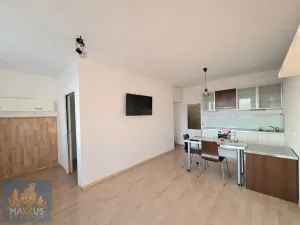 Prodej bytu 1+kk, Praha - Troja, Hnězdenská, 38 m2