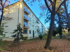 Prodej bytu 2+1, Praha - Břevnov, Myslivečkova, 53 m2