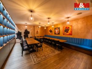 Prodej obchodního prostoru, Olomouc, Riegrova, 890 m2