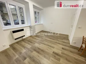 Pronájem bytu 2+kk, Praha - Žižkov, Biskupcova, 48 m2