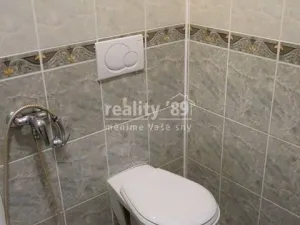 Prodej rodinného domu, Kostelec nad Labem, Za Drahou, 277 m2