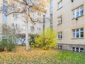 Prodej bytu 2+kk, Praha - Nusle, U Libušiných lázní, 50 m2