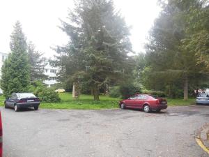 Pronájem bytu 2+1, Liberec, Školní, 55 m2