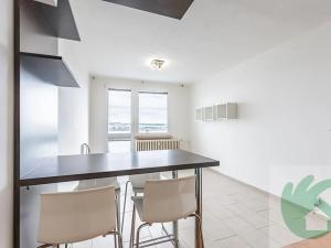 Pronájem bytu 2+kk, Mělník, Sportovní, 41 m2