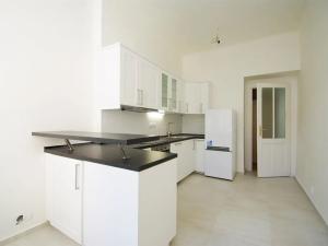 Pronájem bytu 2+1, Praha - Vinohrady, Mánesova, 79 m2