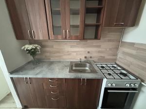 Pronájem bytu 2+1, Frýdek-Místek, Lískovecká, 45 m2