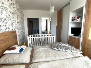 Prodej bytu 2+1, Uherský Brod, Okružní, 58 m2