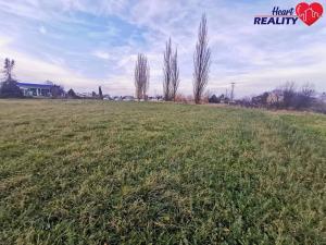 Prodej komerčního pozemku, Neplachovice, Na Nivě, 4386 m2