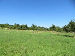 Dražba pozemku, Nové Strašecí, 5768 m2