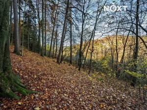 Prodej pozemku pro bydlení, Malá Skála, 3487 m2