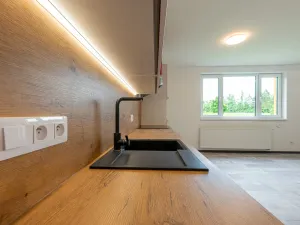 Pronájem bytu 1+kk, Plzeň - Bolevec, Plaská, 51 m2