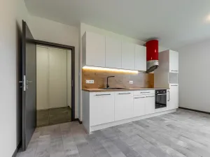 Pronájem bytu 1+kk, Plzeň - Bolevec, Plaská, 51 m2