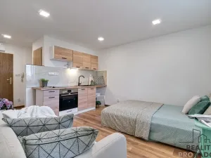 Pronájem bytu 1+kk, Karviná, Prameny, 20 m2