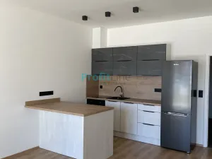 Pronájem bytu 1+kk, Lanškroun, Kežmarská, 50 m2