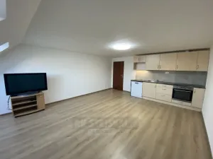 Pronájem bytu 1+kk, České Budějovice, E. Beneše, 43 m2