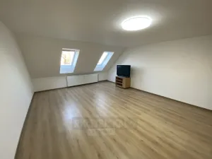 Pronájem bytu 1+kk, České Budějovice, E. Beneše, 43 m2