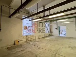 Pronájem garáže, Ústí nad Labem - Krásné Březno, Drážďanská, 69 m2