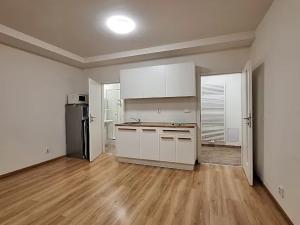 Pronájem bytu 1+kk, Praha - Bubeneč, U zeměpisného ústavu, 26 m2