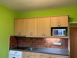 Pronájem bytu 1+kk, Karlovy Vary - Bohatice, Kpt. Nálepky, 20 m2