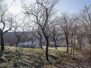 Prodej pozemku pro bydlení, Veletiny, 534 m2