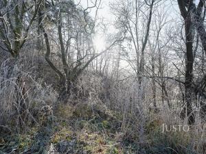 Prodej pozemku pro bydlení, Veletiny, 534 m2