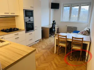 Prodej bytu 1+1, Praha, Na Mlejnku, 51 m2