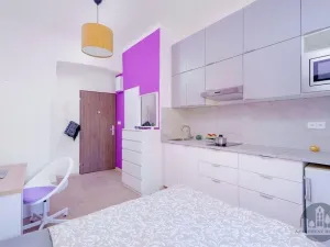 Pronájem bytu 1+kk, Praha - Nusle, Čestmírova, 16 m2