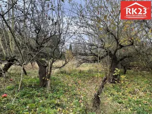 Prodej pozemku pro bydlení, Stráž - Olešná, 994 m2