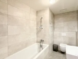 Pronájem bytu 2+kk, Liberec - Liberec I-Staré Město, Vítězná, 65 m2