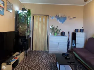 Pronájem bytu 2+1, Bohutín, 51 m2