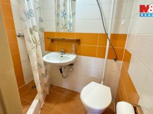 Pronájem bytu 1+1, Olomouc, Dukelská, 28 m2