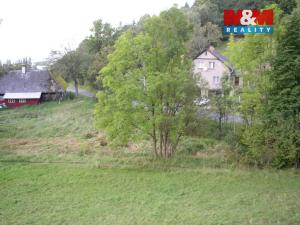 Prodej louky, Janův Důl, 2749 m2