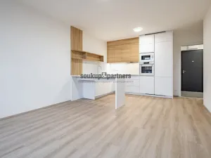 Pronájem bytu 2+kk, Praha - Ruzyně, Stočesova, 59 m2