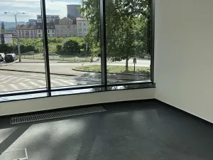 Pronájem kanceláře, Brno, Orlí, 302 m2