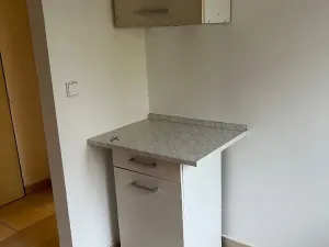 Pronájem bytu 1+1, Chabařovice, V Aleji, 35 m2
