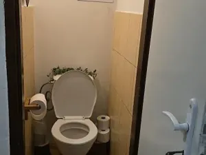 Pronájem pokoje, Praha - Holešovice, Bubenská, 18 m2