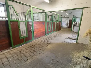 Prodej zemědělské usedlosti, Bžany, 240 m2