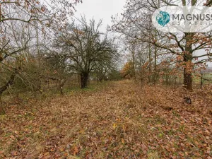 Prodej pozemku, Libina, 7132 m2