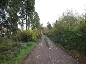 Prodej komerčního pozemku, Nespeky, 7717 m2